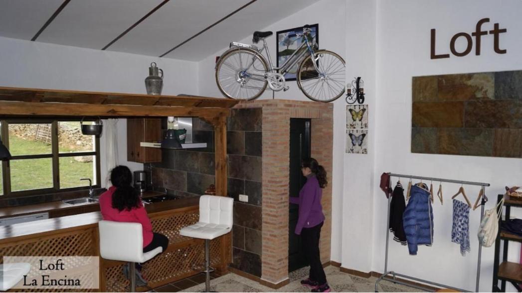 Apartamento Loft La Encina Torrejón el Rubio Zewnętrze zdjęcie
