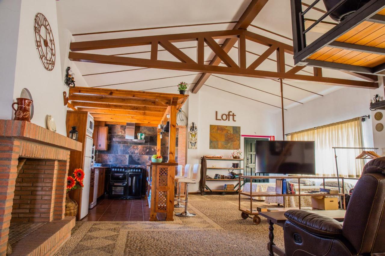 Apartamento Loft La Encina Torrejón el Rubio Zewnętrze zdjęcie